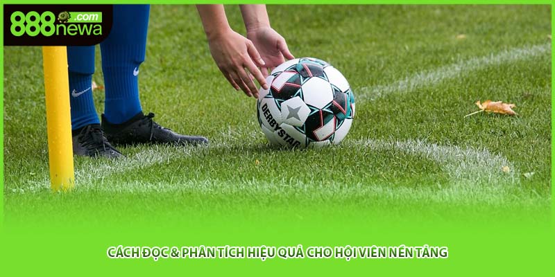 Cách đọc & phân tích hiệu quả cho hội viên nền tảng