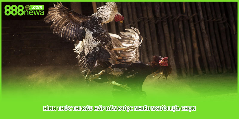 Hình thức thi đấu hấp dẫn được nhiều người lựa chọn