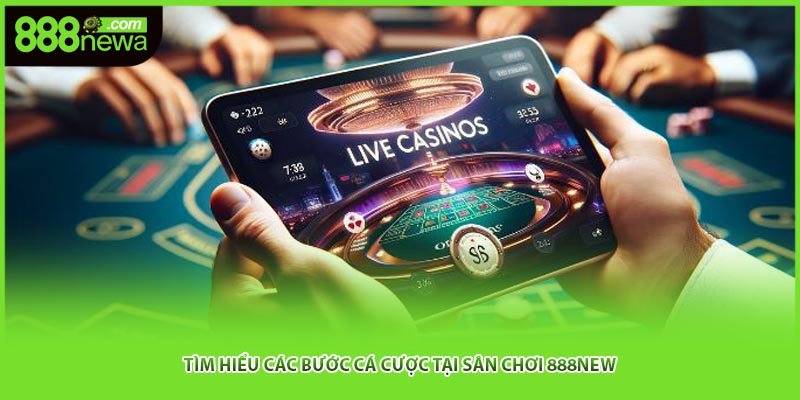 Tìm hiểu các bước cá cược tại sân chơi 888NEW