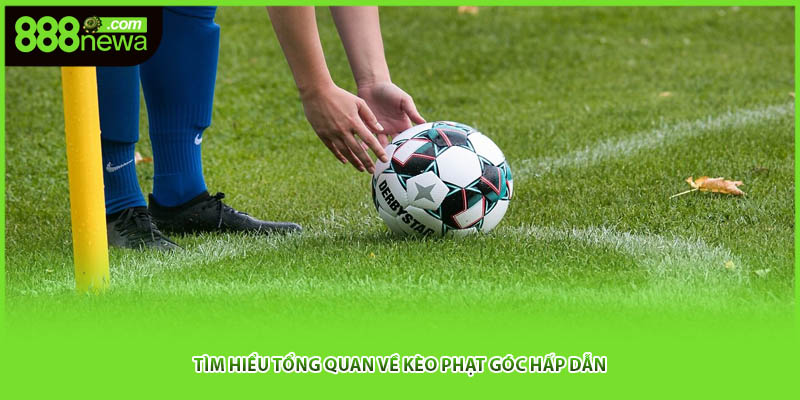 Tìm hiểu tổng quan về kèo phạt góc hấp dẫn