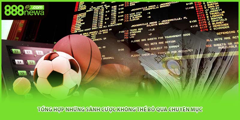 Tổng hợp những sảnh cược không thể bỏ qua chuyên mục
